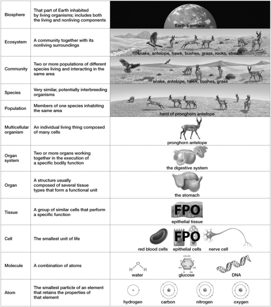 Which of the following is NOT a part of the community shown in this figure?