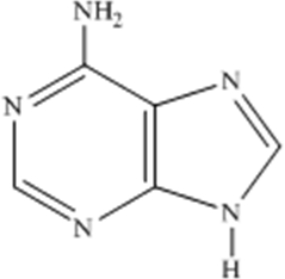 <strong>Which of the following structures is the sugar found in DNA?</strong> A)   B)   C)   D)   E)   <div style=padding-top: 35px> 
