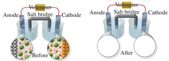 The figure shows a molecular-level representation of the following voltaic cell: Mg(s) + Sn<sup>2+</sup>(aq) \rightarrow Mg<sup>2+</sup>(aq) + Sn(s) When drawing the after representation one would note that: