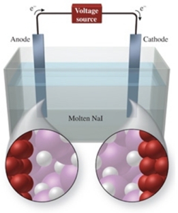 The figure shows the electrolysis of molten NaI.What reaction occurs at the anode of this cell?
