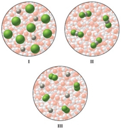 <strong>Which of the diagrams in the figure best represents an aqueous solution of MgCl<sub>2</sub>?  </strong> A)I B)II C)III D)either I or III E)none of these is correct <div style=padding-top: 35px> 