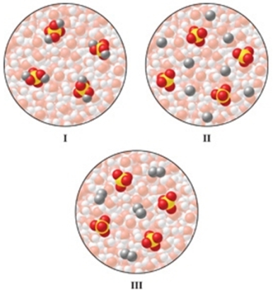 <strong>Which of the diagrams in the figure best represents an aqueous solution of Na<sub>2</sub>SO<sub>4</sub>?  </strong> A)I B)II C)III D)either I or III E)none of these is correct <div style=padding-top: 35px> 