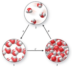 <strong>Three phases of water are shown in the figure.List the terms used to identify the phase changes indicated by the arrows.  </strong> A)A = sublimation, B = vaporization, C = freezing B)A = condensation, B = sublimation, C = melting C)A = freezing, B = vaporization, C = melting D)A = deposition, B = vaporization, C = melting E)A = deposition, B = sublimation, C = freezing <div style=padding-top: 35px> 