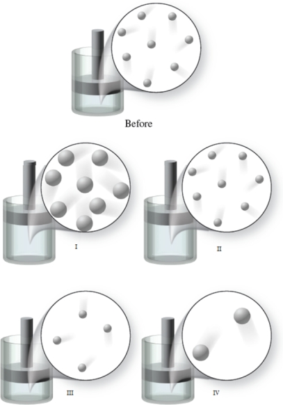 <strong>The figure shows a Before image of gas atoms at a certain temperature.If the volume of the container increases, and the temperature remains constant, which of the images represents the final condition of the gas?  </strong> A)image I B)image II C)image III D)image IV E)None of the images <div style=padding-top: 35px> 