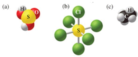 <strong>Which of the following sets of formulas is correct for the molecules in the figure? </strong> A)H<sub>2</sub>SO<sub>3</sub>, SCl<sub>5</sub>, C<sub>2</sub>H<sub>5</sub><sub> </sub> B)H<sub>2</sub>SO<sub>4</sub>, SCl<sub>5</sub>, C<sub>2</sub>H<sub>5</sub><sub> </sub> C)H<sub>2</sub>SO<sub>4</sub>, SCl<sub>6</sub>, C<sub>2</sub>H<sub>6</sub><sub> </sub> D)H<sub>2</sub>SO<sub>4</sub>, SCl<sub>6</sub>, CH<sub>6</sub><sub> </sub> E)H<sub>2</sub>SO<sub>3</sub>, SCl<sub>6</sub>, C<sub>2</sub>H<sub>6</sub><sub> </sub>