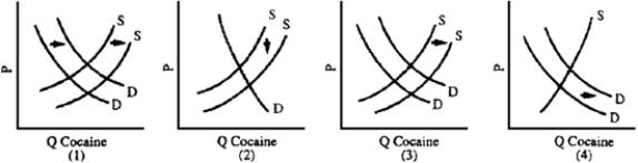 Figure 4-14 -Frustrated by the cost and ineffectiveness of the war on drugs,the U.S.government could consider decriminalization of the use and sale of cocaine.Critics contend that lower prices will expand drug use and that decriminalization will remove the stigma and danger from arrest associated with drug use,thus further increasing the demand and number of addicts.Which graph in Figure 4-14 best illustrates the critics' case?