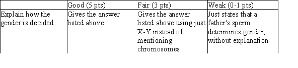 Sex is determined by the 23rd set of chromosomes. If the set contains two X chromosomes, then the infant is female. If it contains an X and a Y, then the infant is male. The mother's egg cell is always an X. Therefore, the father's sperm determines the sex of the infant since the sperm can carry either an X or a Y chromosome.