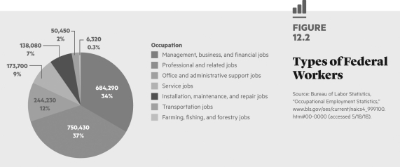 <strong> Which one of the following groups of employees is the largest part of the federal workforce?</strong> A) professional jobs B) service jobs C) farming, fishing, and forestry jobs D) installation, maintenance, and repair jobs