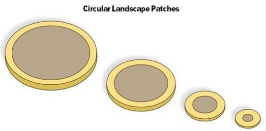 In which of these landscape patches are species most subject to the edge effect? Explain your answer.