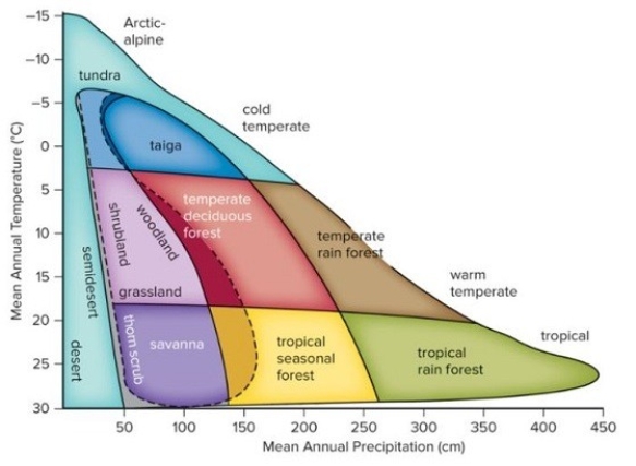 <strong>What biome has a mean annual precipitation over 250 cm.with relatively little seasonal variation,and warm temperatures over 20°C?  </strong> A)tropical dry forest B)temperate rain forest C)taiga D)tropical rain forest E)savanna <div style=padding-top: 35px> 