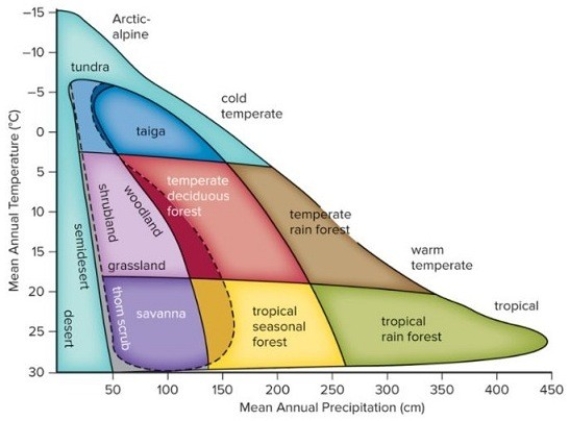 <strong>As the average global temperature continues to increase,which type of biome(s)will take over the regions currently inhabited by temperate forests?  </strong> A)tropical seasonal forests B)tropical rain forests and deserts C)taiga and woodlands D)tropical seasonal forests and deserts E)tundra and savannas <div style=padding-top: 35px> 