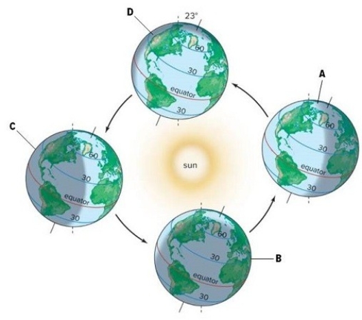 Identify the winter solstice,summer solstice,vernal equinox,and autumnal equinox in the picture.Briefly describe the position of the Earth in relation to the sun and the time of year each event occurs. A.________ B.________ C.________ D.________