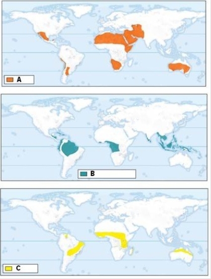 Identify the biomes labeled A,B,and C in the maps.Describe the general locations and climate in each biome.  <div style=padding-top: 35px> 