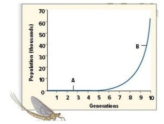 Tell what type of growth model is depicted in the graph and describe the factors that must be met for a population to experience this type of growth.Identify the labeled phases,A and B, and briefly explain what occurs during these phases.