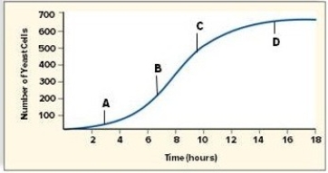 Tell what type of growth model is depicted in the graph and describe the factors that must be met for a population to experience this type of growth.Identify the labeled phases A, B, C, and D and briefly explain what occurs during these phases.