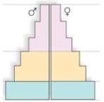 <strong>In a population with low death rates,this age structure diagram indicates that </strong> A)the population is decreasing. B)the population is stable. C)the biotic potential must be larger than usual. D)the population will continue to grow for some time.