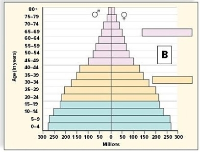 <strong>Which of these diagrams represents an age structure diagram of more-developed countries? </strong> A)Diagram A B)Diagram B