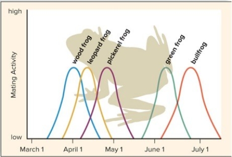 Study the chart of the mating seasons of these five species of frogs.What factor keeps the frogs reproductively isolated? What other factors may be involved?