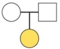 <strong>The pedigree chart depicts the inheritance pattern of ________.Circles depict females and squares depict males.Colored shapes represent affected individuals (expressing a trait)and uncolored shapes are unaffected (do not express a trait). </strong> A)an autosomal recessive characteristic with both parents being heterozygous B)an autosomal dominant characteristic with both parents being homozygous dominant C)an autosomal recessive characteristic with both parents being homozygous recessive D)None.