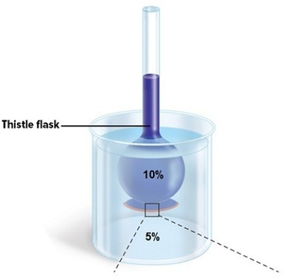 <strong>A 10% glucose solution is placed in the thistle tube.The thistle tube is placed in a beaker that contains a 5% glucose solution.The solution in the thistle tube is ________ to the solution in the beaker. </strong> A)hypertonic B)hypotonic C)isotonic D)none of the answer choices