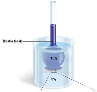 A 10% glucose solution is placed in the thistle tube.The thistle tube is placed in a beaker that contains a 5% glucose solution.There is a differentially permeable membrane across the broad end of the tube,which is permeable to water but not to the sugar glucose.As diffusion occurs,  