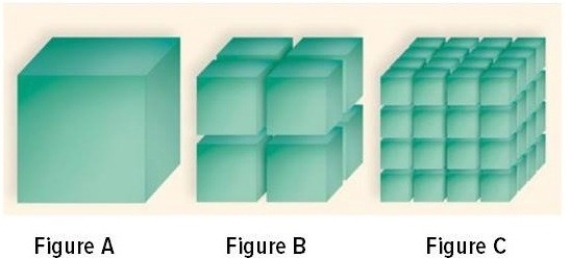 If you were to design a structure that would have the greatest potential to interact with the environment through surface area contact,would you design a structure similar to Figure A,B,or C? Explain your answer.
