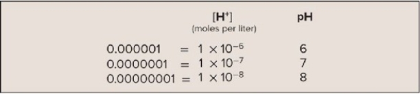 Study the chart to determine the relationship between H<sup>+</sup> concentration and pH.If you were to create a herbal remedy to decrease excess stomach acid,would you create a solution with a relatively greater or lesser number of hydrogen ions?