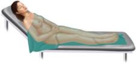 The examination position pictured here is the ________ position.