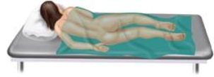The examination position pictured here is the ________ position.