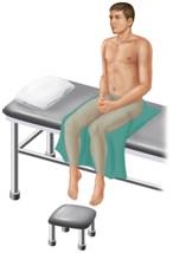 The examination position pictured here is the ________ position.
