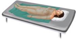 The examination position pictured here is the ________ position.