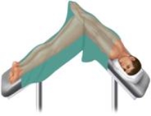 The examination position pictured here is the ________ position.