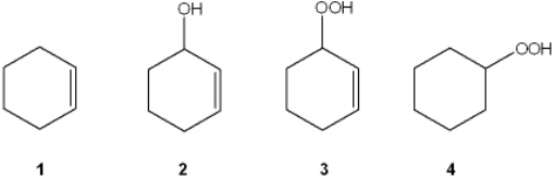 What is the major product of autooxidation of cyclohexene?  