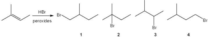 What is the major organic product obtained from the following reaction?