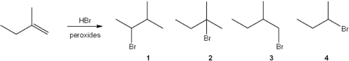 What is the major organic product obtained from the following reaction?