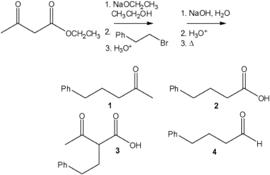 <strong>What is the major organic product obtained from the following sequence of reactions? </strong> A) 1 B) 2 C) 3 D) 4