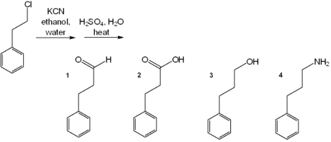 What is the major organic product obtained from the following reaction?