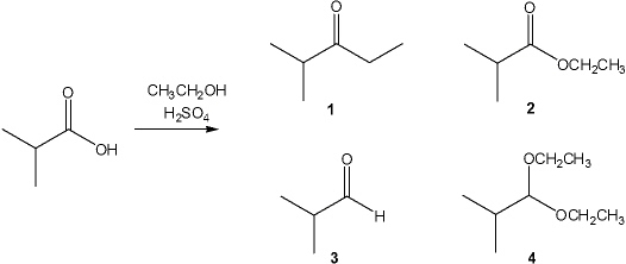 <strong>What is the major organic product obtained from the following reaction? </strong> A) 1 B) 2 C) 3 D) 4