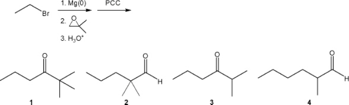 What is the major organic product obtained from the following sequence of reactions?