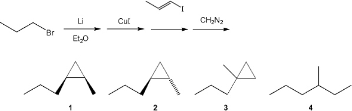 What is the major organic product obtained from the following sequence of reactions?