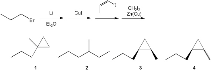 What is the major organic product obtained from the following sequence of reactions?