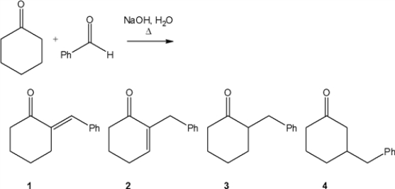 What is the major organic product obtained from the following reaction?