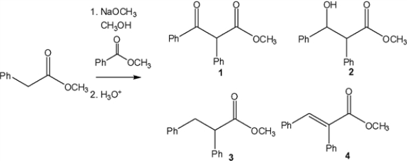 What is the major organic product obtained from the following reaction?