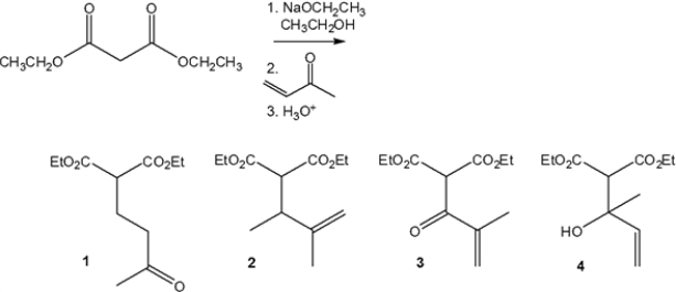 What is the major organic product obtained from the following reaction?