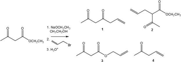 What is the major organic product obtained from the following reaction?