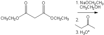 What is the major organic product obtained from the following reaction?