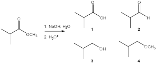 What is the major organic product obtained from the following reaction?