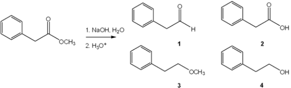 What is the major organic product obtained from the following reaction?