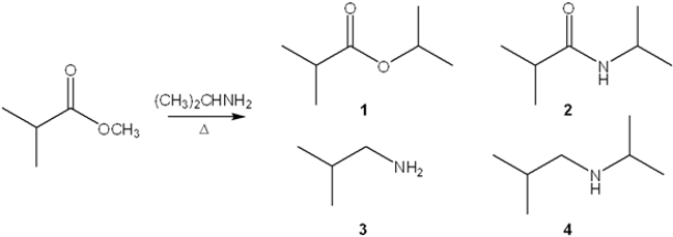 What is the major organic product obtained from the following reaction?