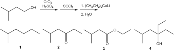 What is the major organic product of the following sequence of reactions?
